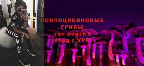 стафф Беломорск