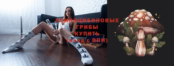 стафф Беломорск