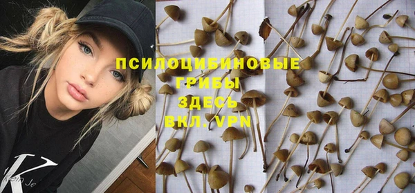 марки lsd Белокуриха