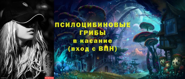 spice Бердск