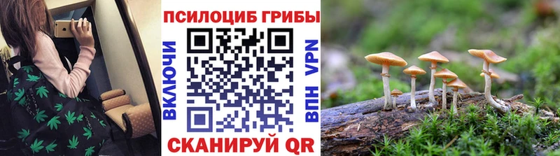 Псилоцибиновые грибы прущие грибы  Болотное 